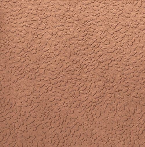 Ape Argillae Nisus Coral Rect 60х60