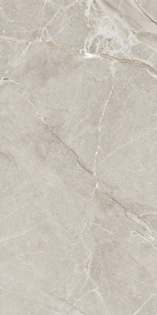 Ape Colemanite Stone Grey Rect 60x120H0.88