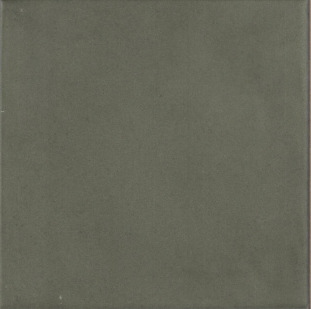 Ape Contemporary Forest Matt 15x15H0.79