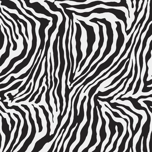 Ape Moonlight Zebra Polished Rec 75×75