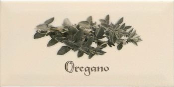 Ape Metro Decor Crema Oregano 10х20