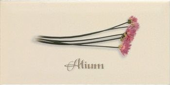 Ape Metro Decor Crema Alium 10х20