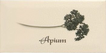 Ape Metro Decor Crema Apium 10х20