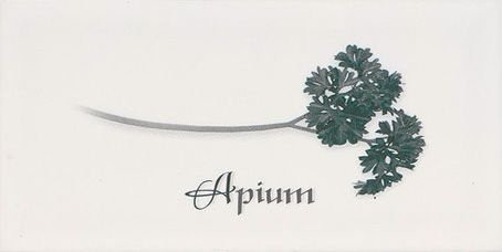 Ape Metro Decor Blanco Apium 10х20