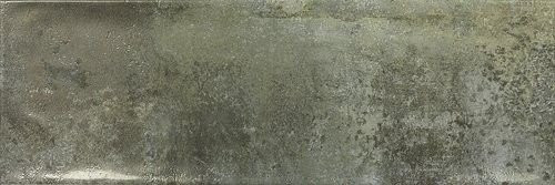 Ape Ossidi Moss 20х60