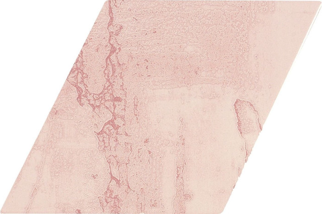 Ape Snap Rombo Pink 15х29.5