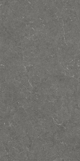 Argenta Bergstein Max Dark Matt Rect 60x120H0.9