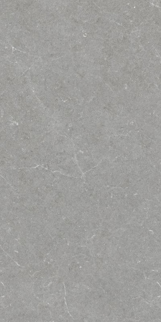 Argenta Bergstein Grey Matt Rect 60x120H0.9