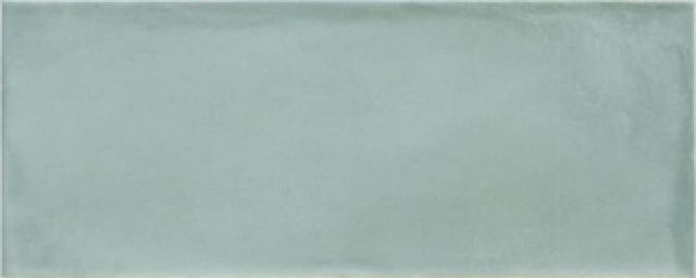 Argenta Camargue Aqua 20х50