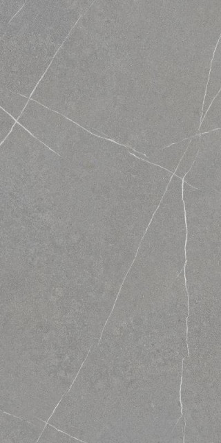 Argenta Capri Grey Matt Rect 60x120H0.9
