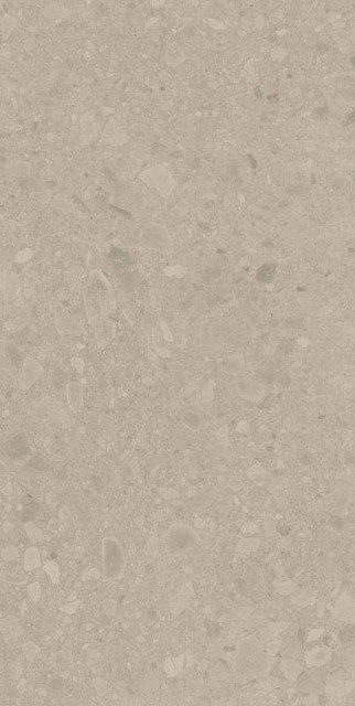 Argenta Flodsten Earth CB UNGL Matt 60x120H0.9
