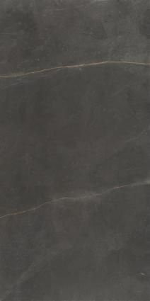 Argenta Emerita Dark 60х120