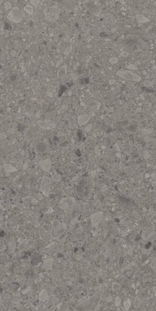 Argenta Flodsten Smoke CB UNGL Matt 60x120H0.9