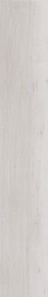 Argenta Selandia Bianco 120х20