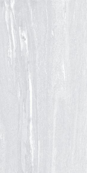 Argenta North Pav White RC 60x120