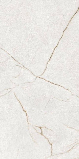 Argenta Raffaello Ivory Polished 60x120H0.9