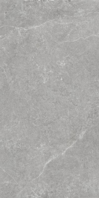 Argenta Storm Grey Rect Matt 60x120H0.9