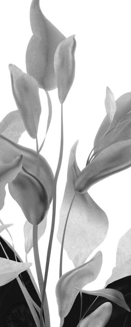 Arklam Fiori Di Luna Hond 6 mm 120x280
