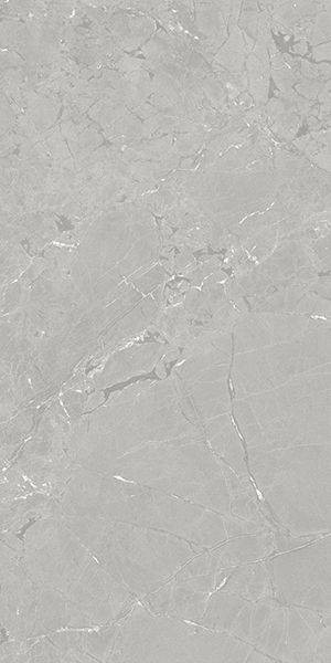 Azuvi Neeko Grey 60x120