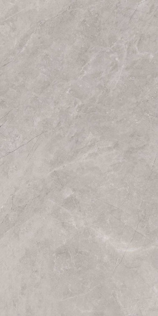 Baldocer Bayona Silver Pulido Rect 120x240H0.7