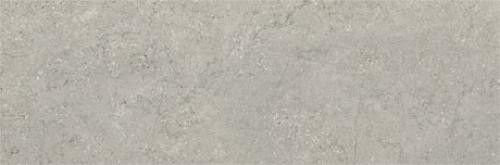Baldocer Concrete Grey 28х85