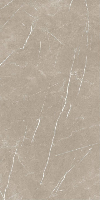 Baldocer Eternal Taupe Natural 60x120H0.9
