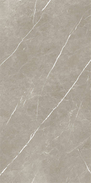 Baldocer Eternal Taupe Pulido 60x120H0.9