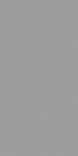 Ceracasa Croma Grey 49,1x98,2