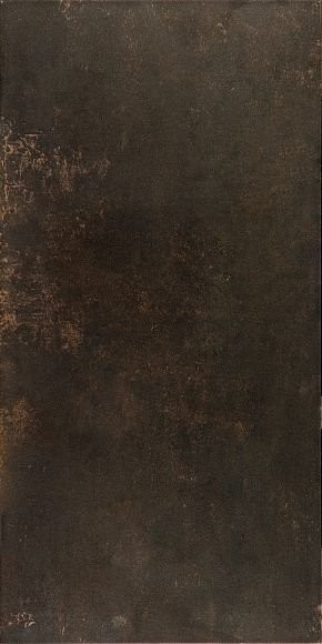 Ceracasa Evolution Bronce Lapatto Rect 49.1×98.2