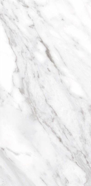 Ceracasa North White Gloss 49,1х98,2