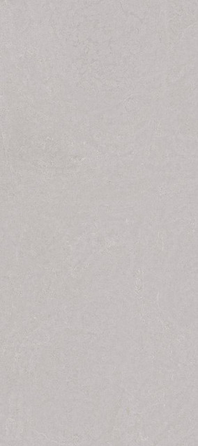Cerpa Sisley Gris Mt 59x120