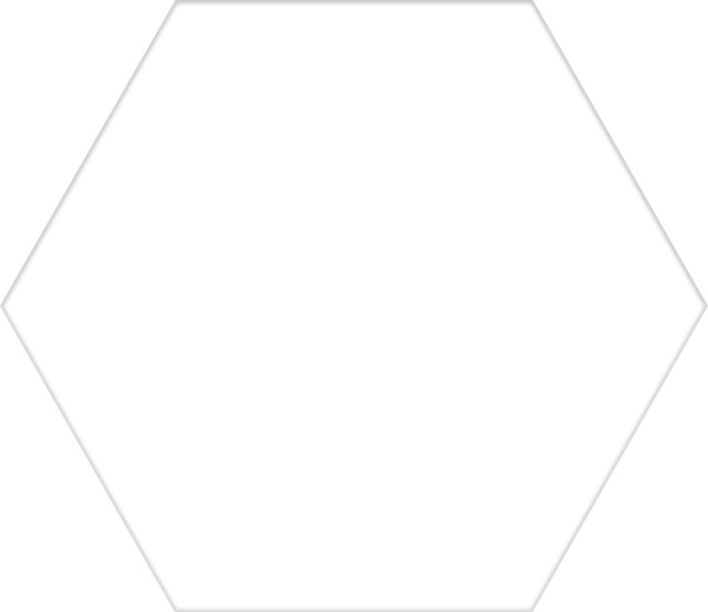Codicer Basic White Hex 25 Hexagonal 25x22