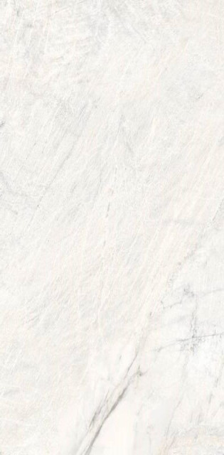 Colorker Da Vinci White 60x120
