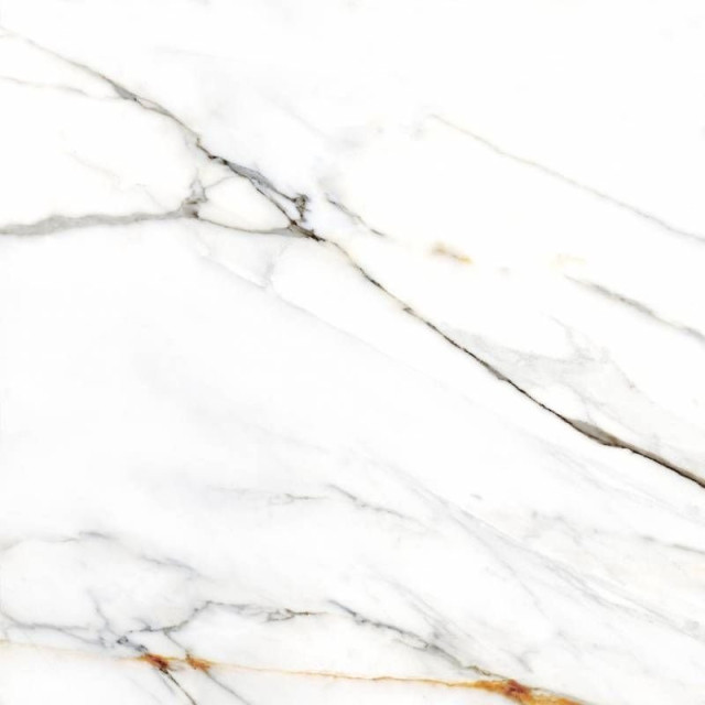 Colorker Calacatta Gold White 120x120