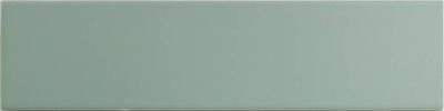 DNA Match Sage Matt 6.25x25