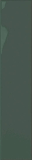 DNA Plinto Green Gloss 10.7x54.2