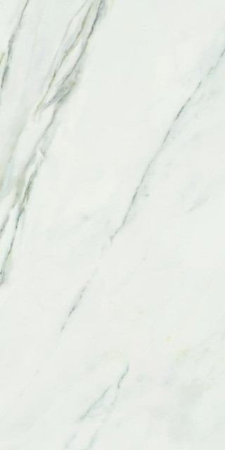 Dune Calacatta Superwhite 60x120