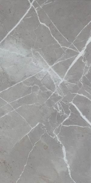 Ecoceramic Museum Grey 60x120
