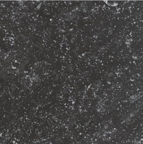 Equipe Coralstone Black 20х20