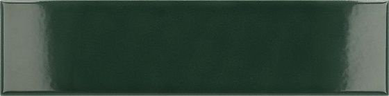 Equipe Costa Nova Laurel Green Glossy 5x20