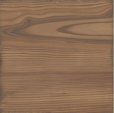 Equipe Woodland Honey 20x20