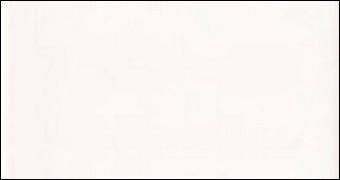 Fabresa Blanco 10х20