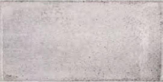 Fabresa Vita Nebbia 10х20
