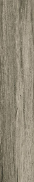 Fanal Ceylan Gris Pulido 22x118 (Rect)