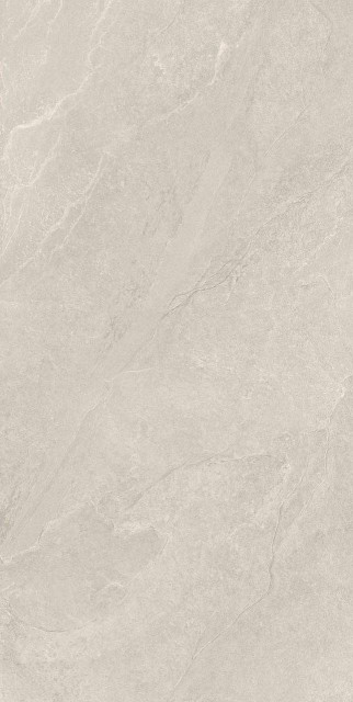 Geotiles Ardesia Bone Matt Rect R11 60x120H0.9