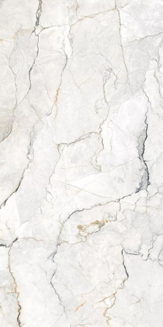 Geotiles Sauvage Pearl Leviglass 60x120