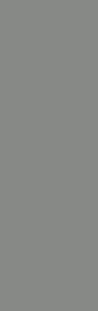 Grespania Coverlam Basic Gris 3,5 mm 100x300