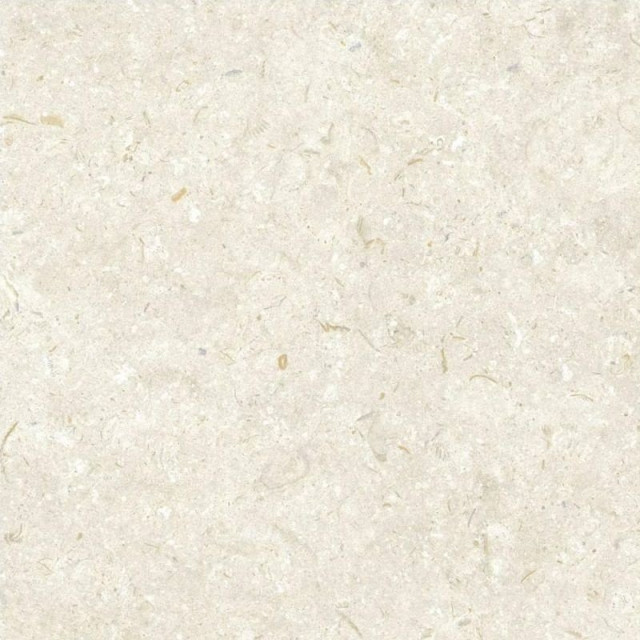 Grespania Fosil Bone 60x60