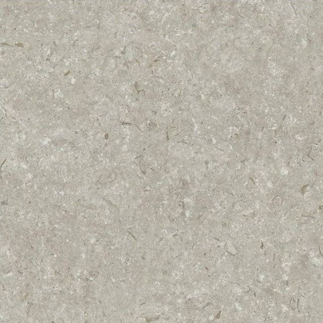 Grespania Fosil Gris 60x60