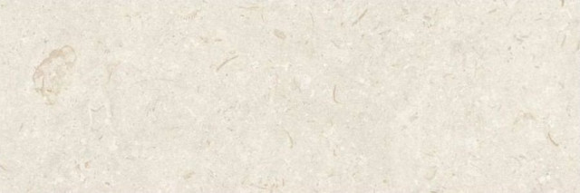Grespania Fosil Bone 31,5x100